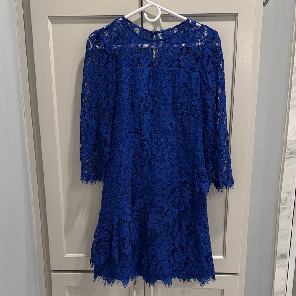 Eliza J Royal Blue Lace Dress